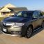 ACURA : G537M : FOREST MIST 0