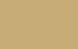 BMW | 012 | SIERRA BEIGE