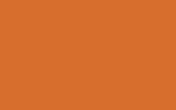 HYUNDAI : BHY : FLOWER ORANGE