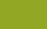 RENAULT : DPA : BAMBOO GREEN