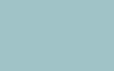 RENAULT : RPP : BLEU DRAGEE