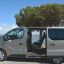 RENAULT | 630 | GRIS XERUS 2