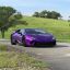 LAMBORGHINI | 0172 | VIOLA PASIFAE 0