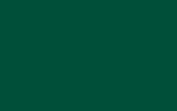 GAZ 394 | DARK | GREEN