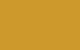 MINI | YA58 | MELLOW YELLOW