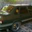 LADA 331 ZOLOTOY LIST KHAKI 2