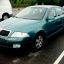 SKODA | LF8D | ISLAND GRUEN 0