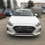 HYUNDAI | WTW | OPTIC WHITE 3
