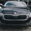 SKODA : 9910 : BLACK MAGIC 2