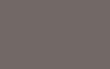 KIA | PEWTER BEIGE