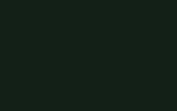 DAEWOO - DW007 SHERWOOD GREEN