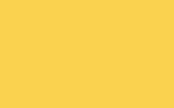 HYUNDAI | GB | TWEETY YELLOW