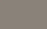 GENERAL MOTORS CORP | 121E | PEWTER
