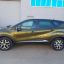 RENAULT | DNP | VERT OLIVETTE 0