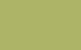 FIAT / LANCIA | 733A | VERDE GUACAMOLE