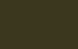 UAZ | 303/617 | KHAKI