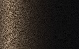 TOYOTA | 4U5 | DARK BROWN