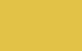 AUDI | LY1B | BRILLANTGELB