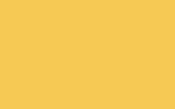 MINI | 902 | LIQUID (DAKAR) YELLOW