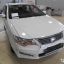 LIFAN MOTORS | WHITE 0