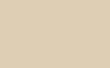 NISSAN | E34 | LIGHT BEIGE