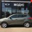 HYUNDAI | SHG | SHANNON GREEN 2