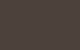 MINI | YB19 | LIGHT COFFEE MINI | YB19 | LIGHT COFFEE