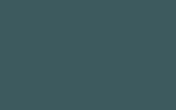 LADA | 404 | PETERGOF/DARK GREEN LADA | 404 | PETERGOF/DARK GREEN
