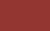 RENAULT | 756 | ROUGE CORAIL