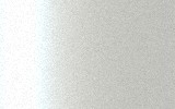ACURA : NH788P : WHITE ORCHID