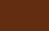 MINI | C1V | CHESTNUT