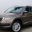 SKODA | 9204 | HNEDA MATO/MATO BROWN 4