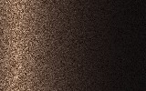 RENAULT | CXA | EBONY BROWN