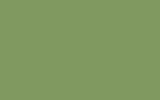 LADA | 325 | GREEN