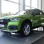 AUDI : LY6W : JAVAGRUEN 1