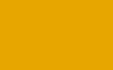 FORD EUROPE | TBL | BROOM YELLOW