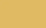 HYUNDAI | 3W | SHEER YELLOW