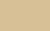 SUZUKI : YS313 : CREAM BEIGE