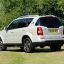 SSANGYONG / REXTON / WAH - PEARL WHITE LILY 0