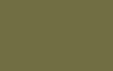 LADA | 340 | LIGHT OLIVE GREEN