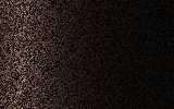 NISSAN | CAE | CHOCOLATE GLASS