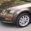 SKODA | LH8Z | HNEDA MAPLE/MAPLE BROWN 1