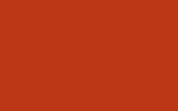 VOLKSWAGEN | LD2B | SNAP ORANGE