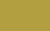 MINI | YA95 | INTERCHANGE YELLOW MINI | YA95 | INTERCHANGE YELLOW