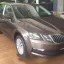 SKODA | LH8Z | HNEDA MAPLE/MAPLE BROWN 0