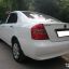 LIFAN / SOLANO (620) / WHITE (СОЛИД) 3