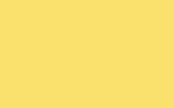 GEELY | JY01 | PINEAPPLE YELLOW