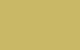 MINI | YB17 | BRIGHT YELLOW MINI | YB17 | BRIGHT YELLOW