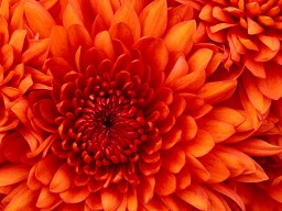 Nastena_6969