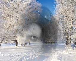 lysia